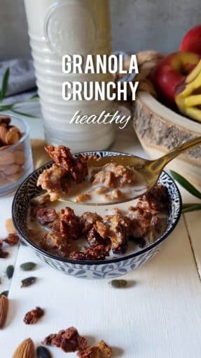 granola maison crunchy healthy